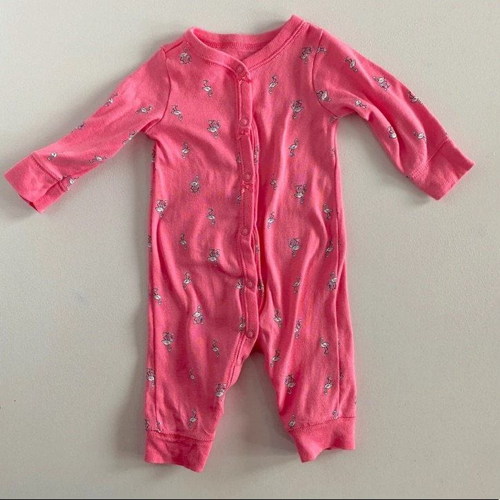 Flamingo Sleeper
